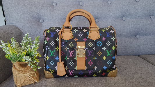 LV multicolored speedy 30