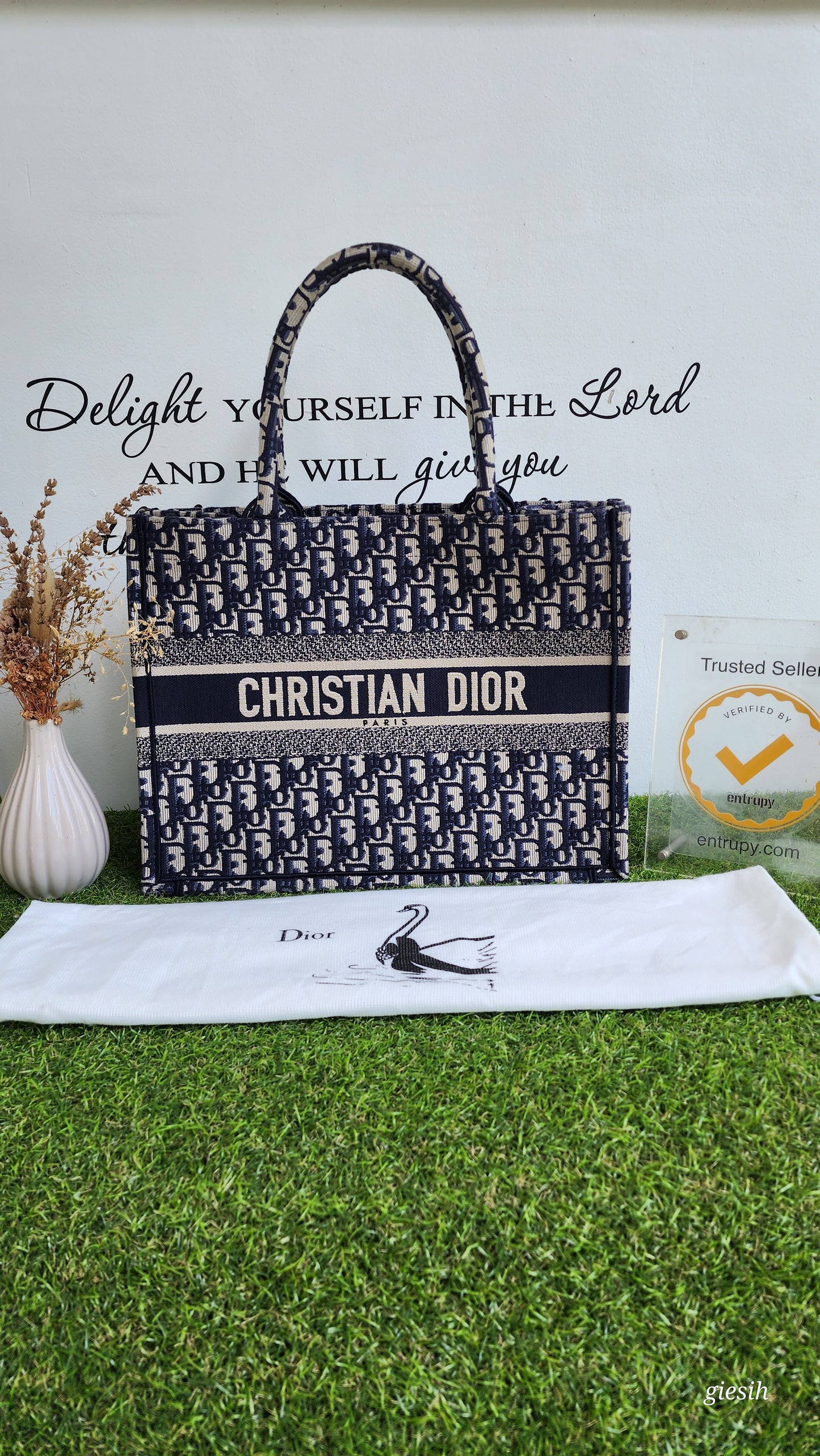 Christian Dior Booktote Medium