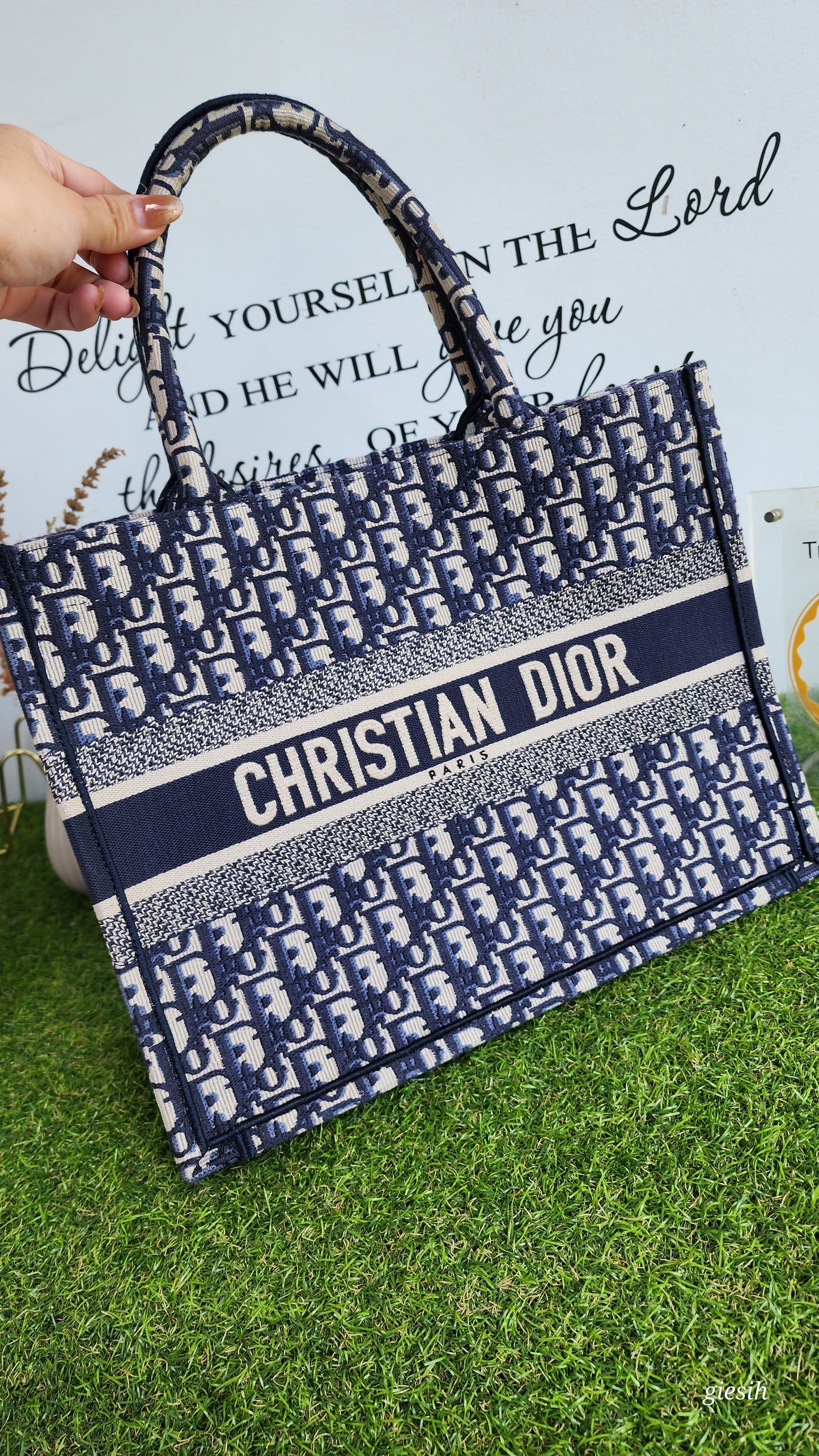 Christian Dior Booktote Medium