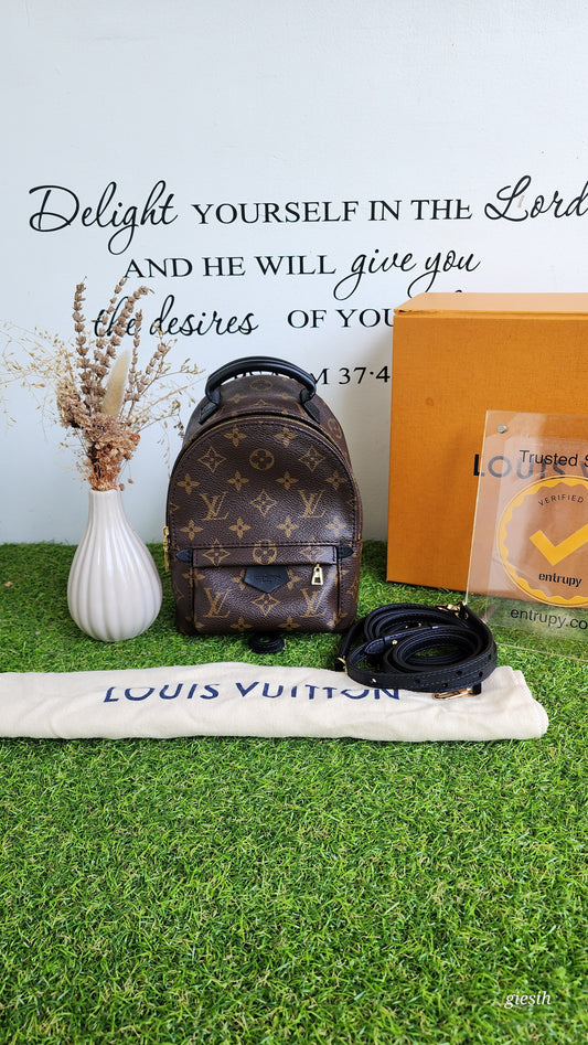 Louis Vuitton Palmspring Mini Monogram