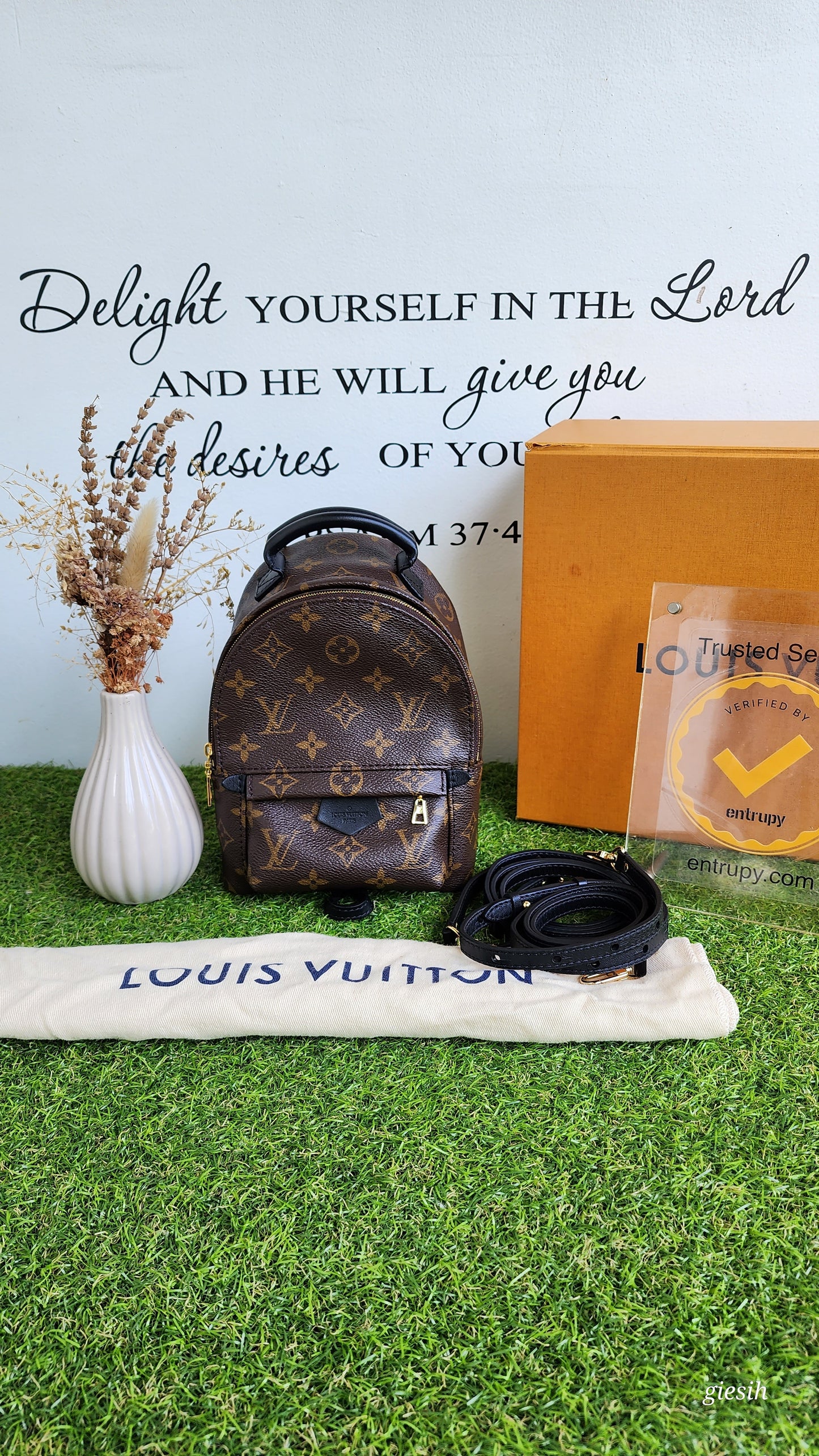 Louis Vuitton Palmspring Mini Monogram