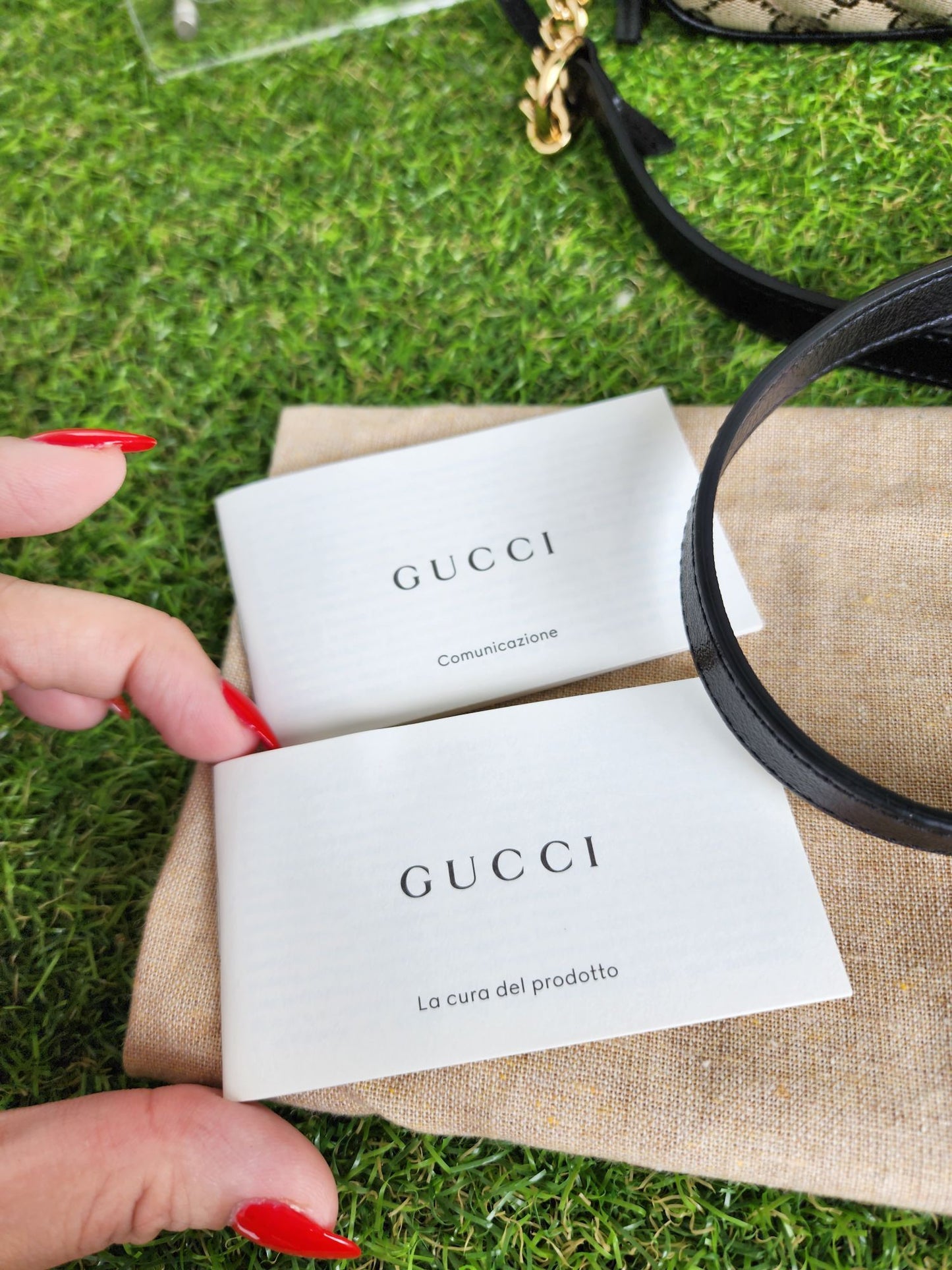 Gucci ophidia small
