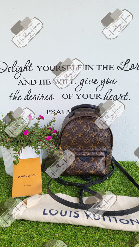 Louis Vuitton Palmspring Mono