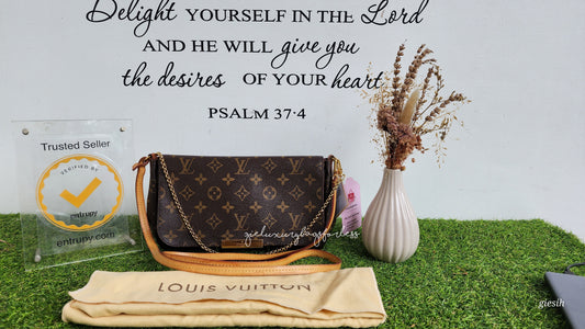 Louis Vuitton Favorite MM Monogram